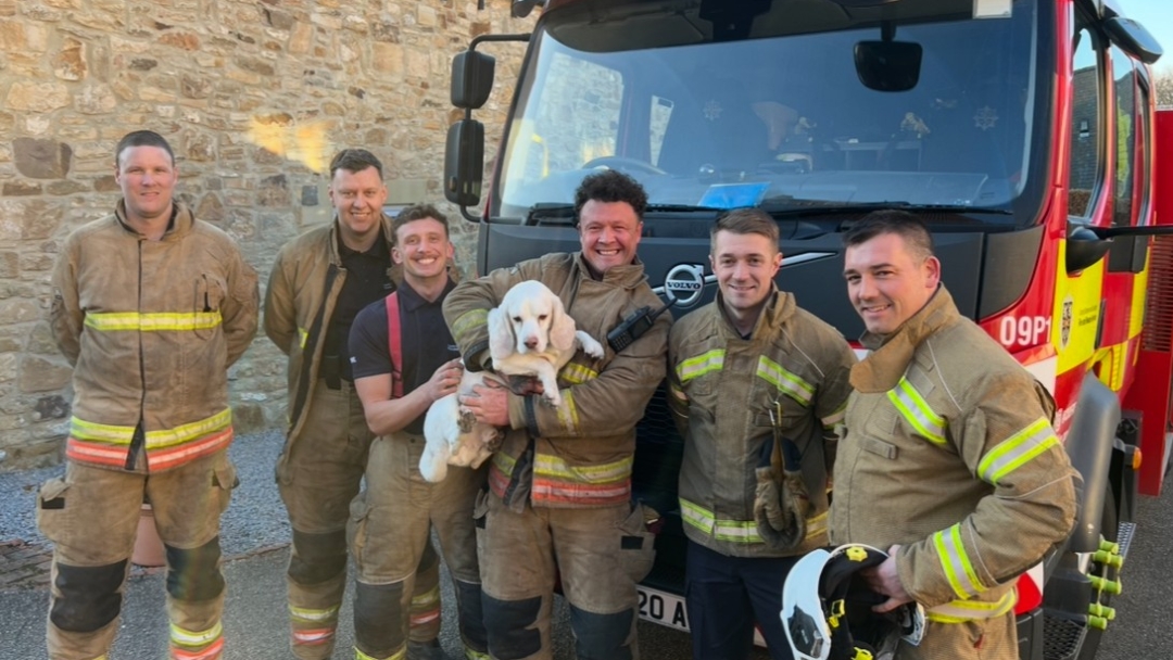 Harvey the dog with smiling firefighters 